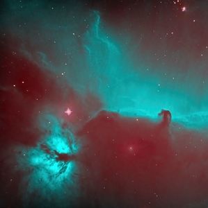 Meet your Posher, Heeler